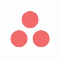 Asana: gestione del lavoro
